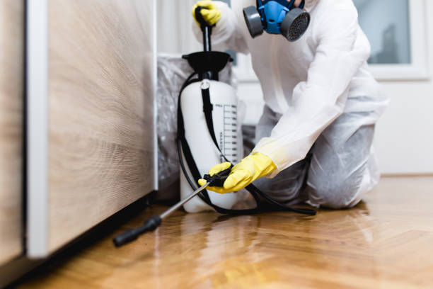 Best Exterminator Services  in Omao, HI