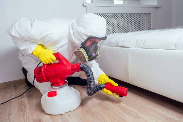 Best Pest Control Near Me  in Omao, HI