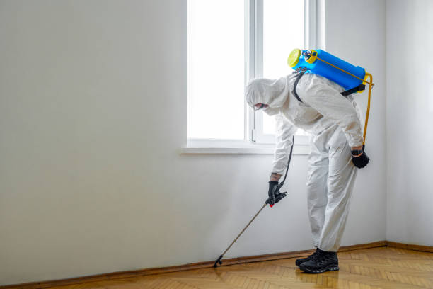 Best Wildlife Control Services  in Omao, HI