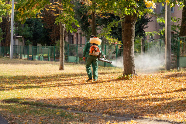 Best Pest Inspection Near Me  in Omao, HI