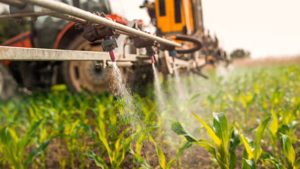 Best Mosquito Control Services  in Omao, HI